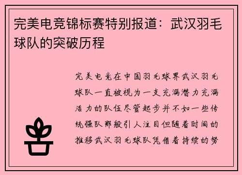 完美电竞锦标赛特别报道：武汉羽毛球队的突破历程