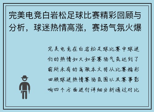 完美电竞白岩松足球比赛精彩回顾与分析，球迷热情高涨，赛场气氛火爆